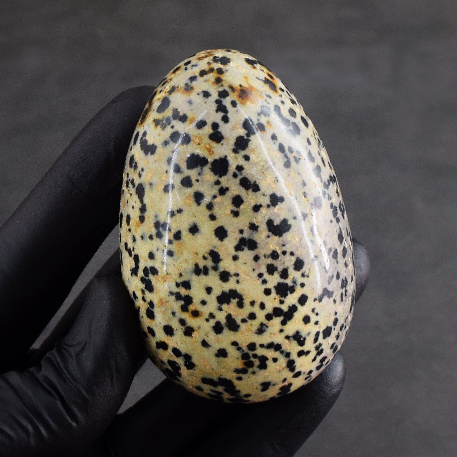 Artisian 954.00 Cts Genuine Dalmation Jasper Premium Crystal Healing Egg