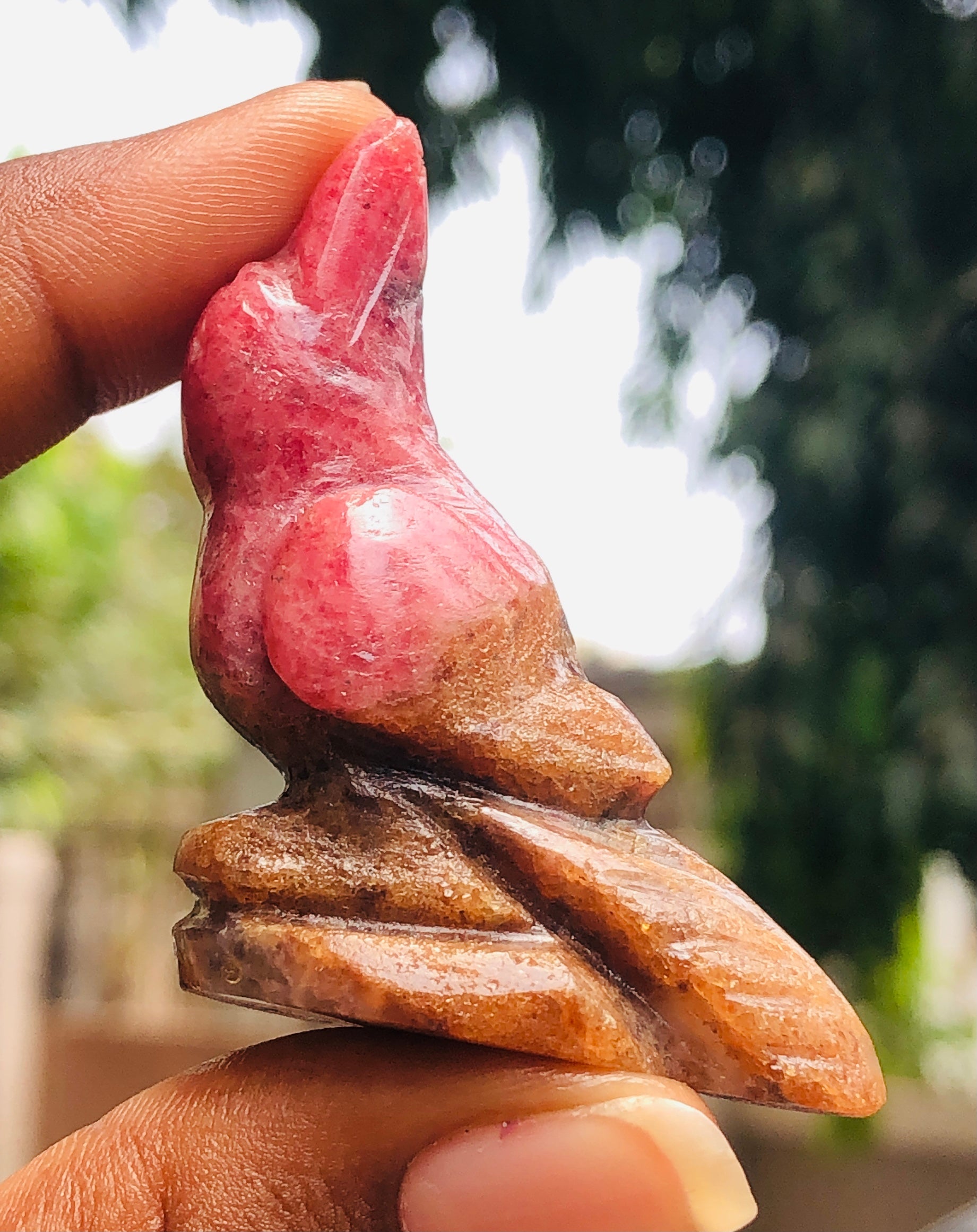 Morbid 215.00 Cts Genuine Rhodonite Carved Premium Bird 2026  Collection