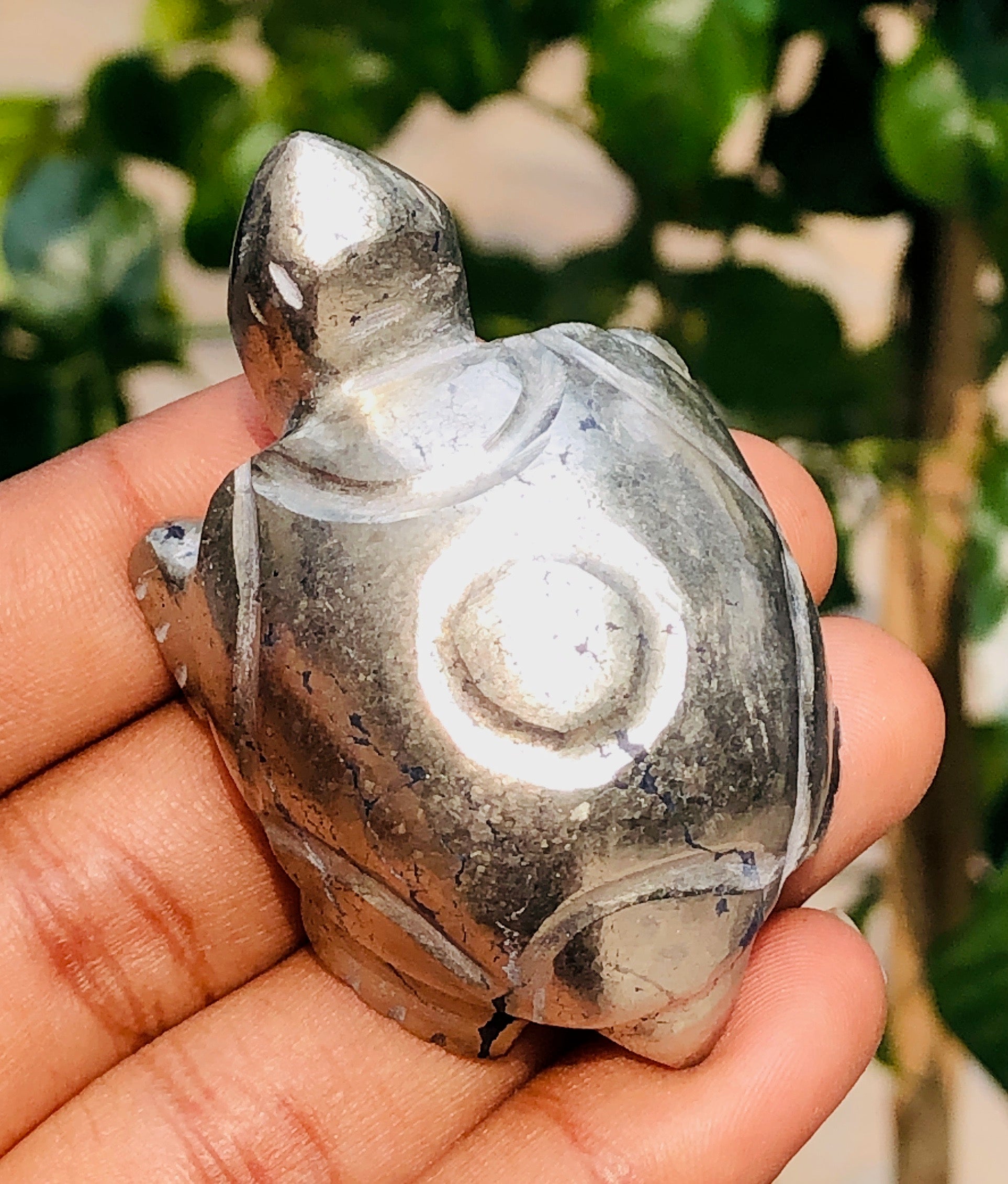 Amazing 397.00 Cts genuine Pyrite Hand Carved Premium Crystal Turtle Gemstone