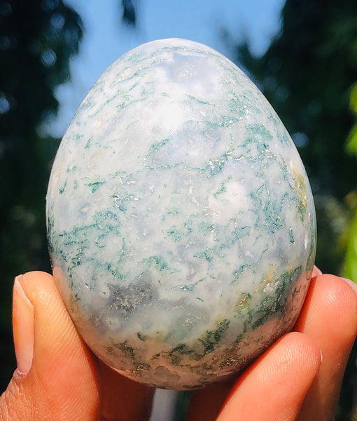 Natural 664.00 Cts Genuine Tree Agate Healing Crystal Specimen Premium Egg
