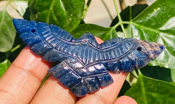 Amazing 54.00 Cts Genuine Hand Carved Blue Sodalite Premium Eagle Crystal