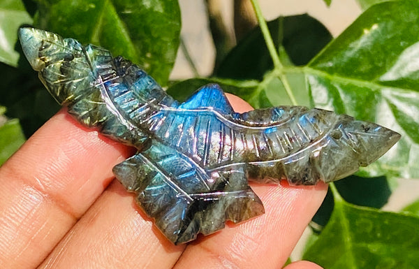 Best Ever 49.00 Cts genuine Blue Flash Labradorite Hand Carved Premium Eagle Crystal