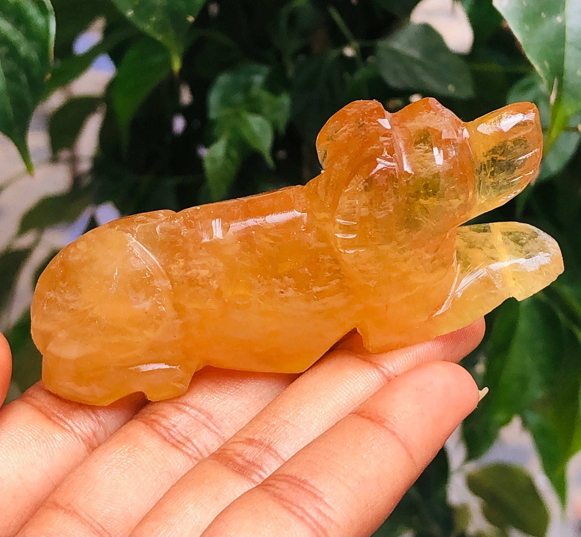 Morbid 454.00 Cts Genuine Yellow Fluorite Carved Premium Dog Crystal 2026  Collection
