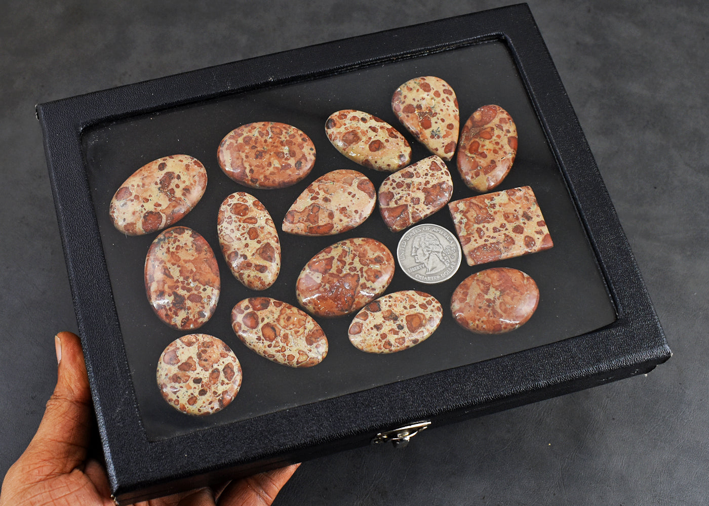 Exclusive  692.00 Cts Genuine Leopard Skin Jasper Untreated Gemstone Cabochon Lot