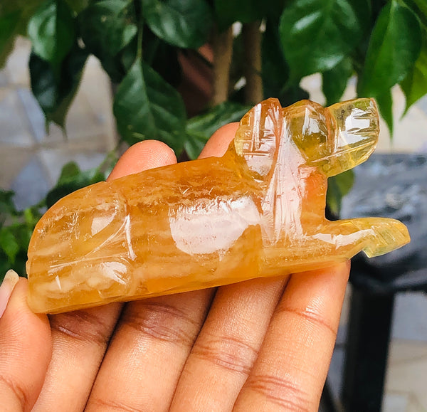 Morbid 454.00 Cts Genuine Yellow Fluorite Carved Premium Dog Crystal 2026  Collection