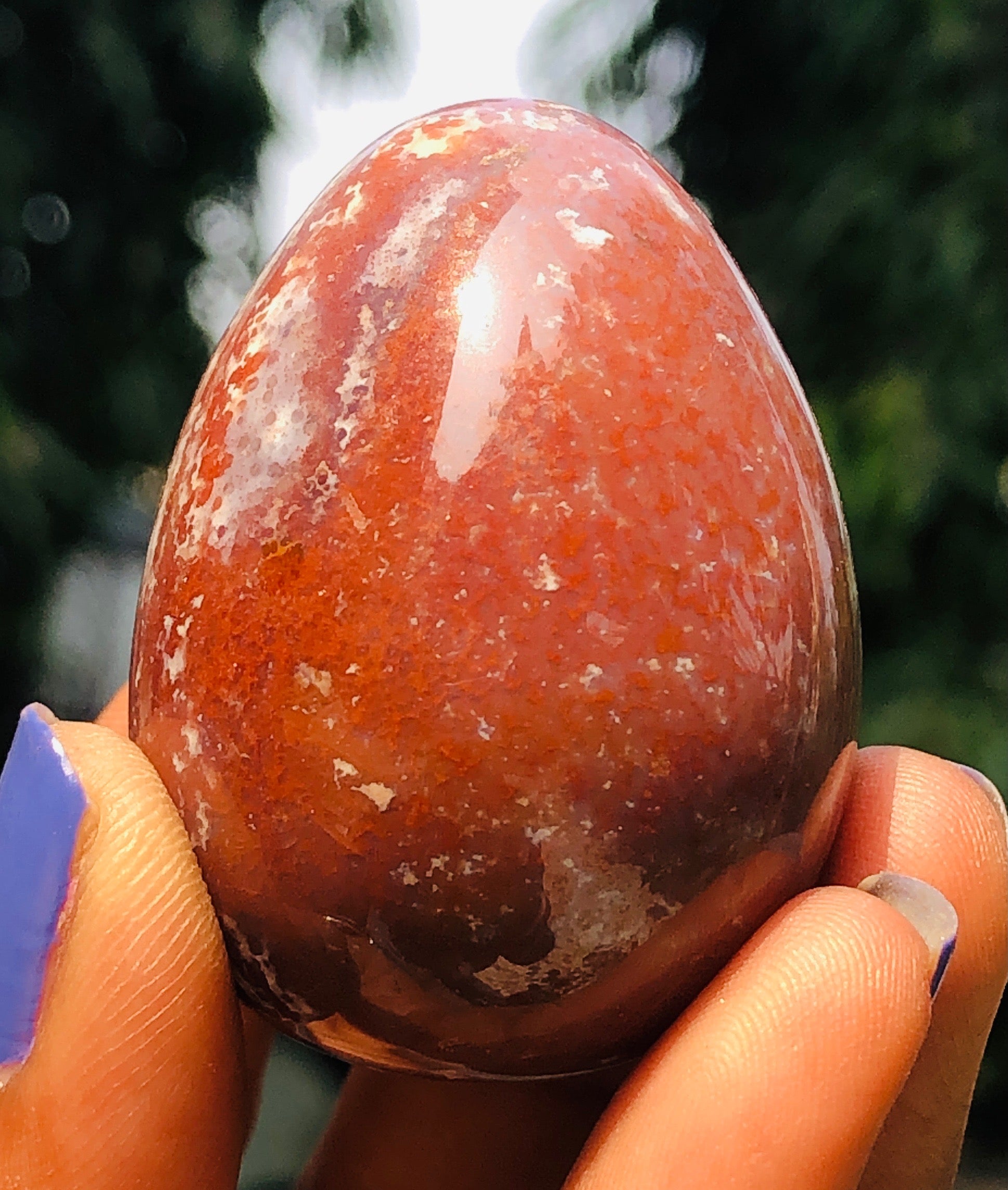 Natural 300.00 Cts Genuine Red Moss Agate Healing Premium Egg Crystal