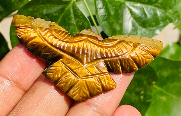 Artisian 48.00 Cts Genuine Golden Tiger Eye Hnad Carved Premium Eagle Crystal
