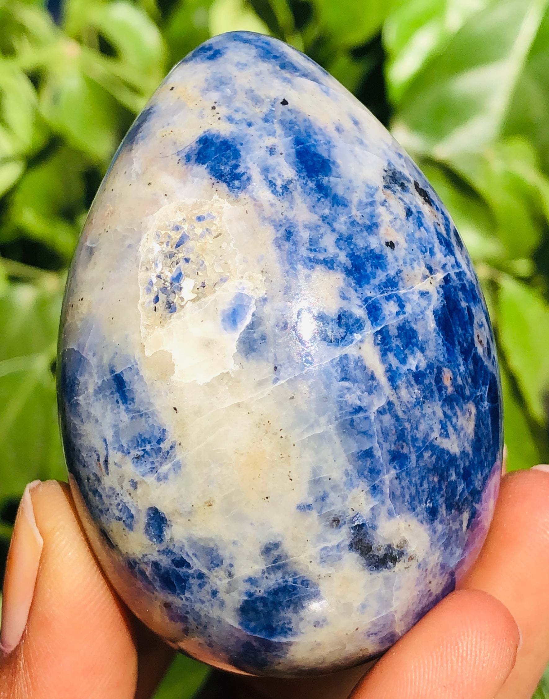 Stunning 639.00 Carats Hand Carved Blue Sodalite Crystal Specimen Healing Egg