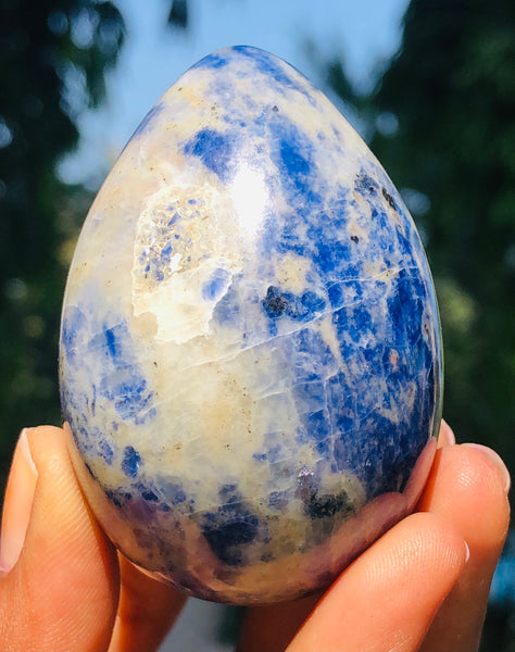 Stunning 639.00 Carats Hand Carved Blue Sodalite Crystal Specimen Healing Egg