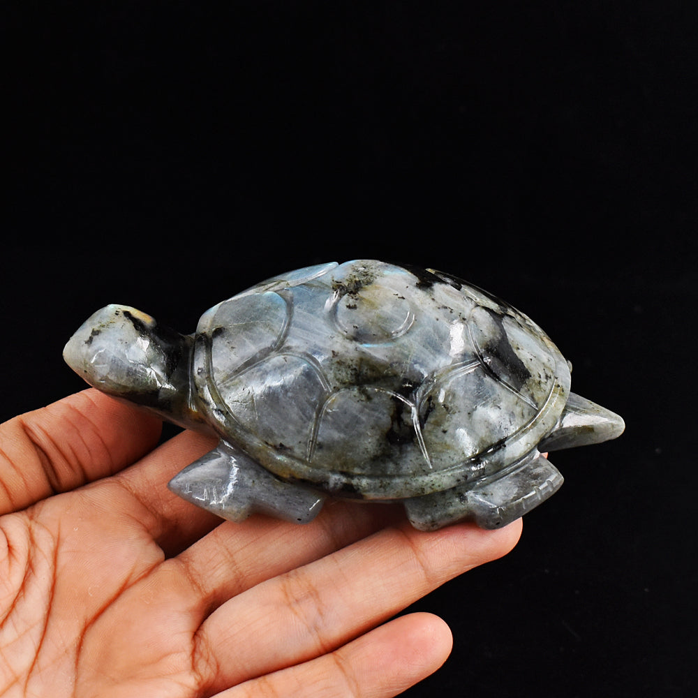 1288.00 Carats  Genuine Blue & Golden Flash Labradorite  Hand Carved  Crystal Gemstone Turtle Carving