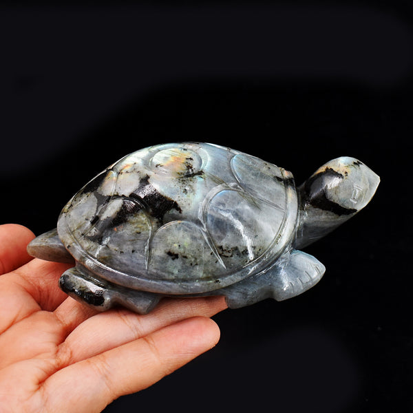 1288.00 Carats  Genuine Blue & Golden Flash Labradorite  Hand Carved  Crystal Gemstone Turtle Carving