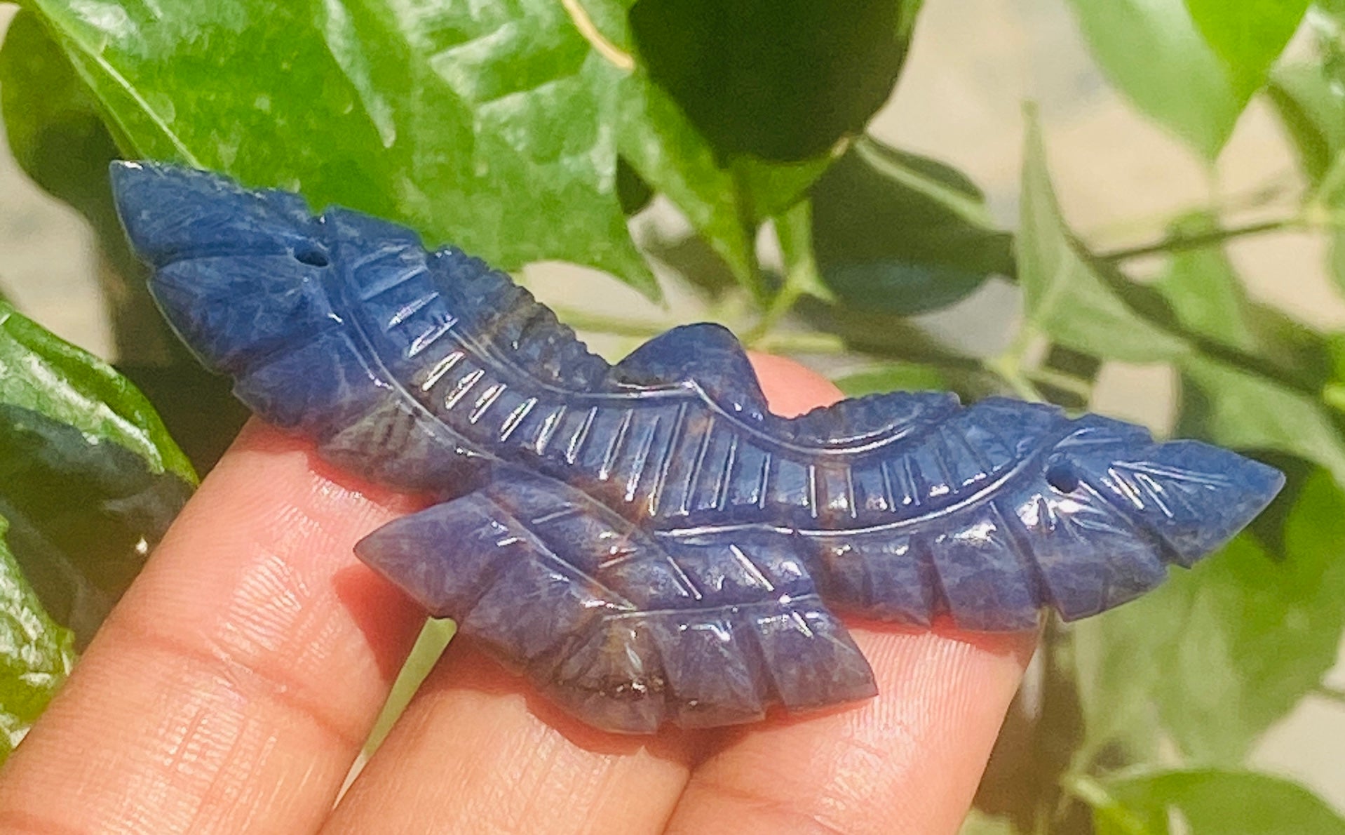 Passive 47.00 Genuine Blue Sodalite Hand Carved Premium Crystal Eagle