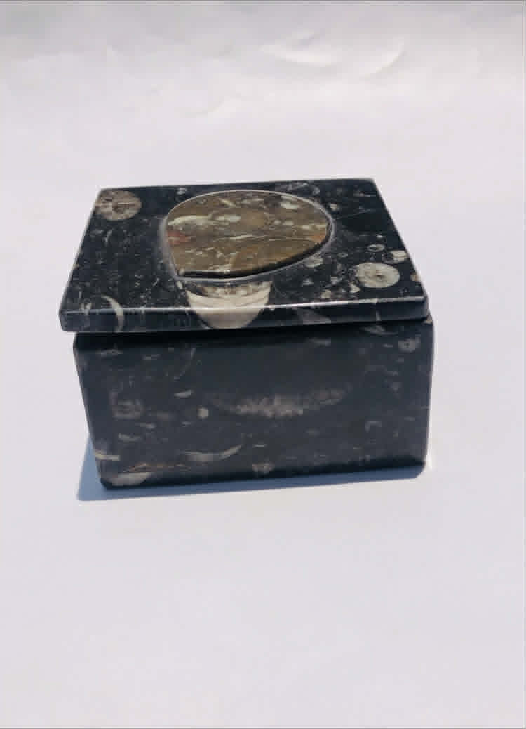 Amaing 2210.00 Cts Genuine Orthoceras Crystal Specimen Square Shape Box