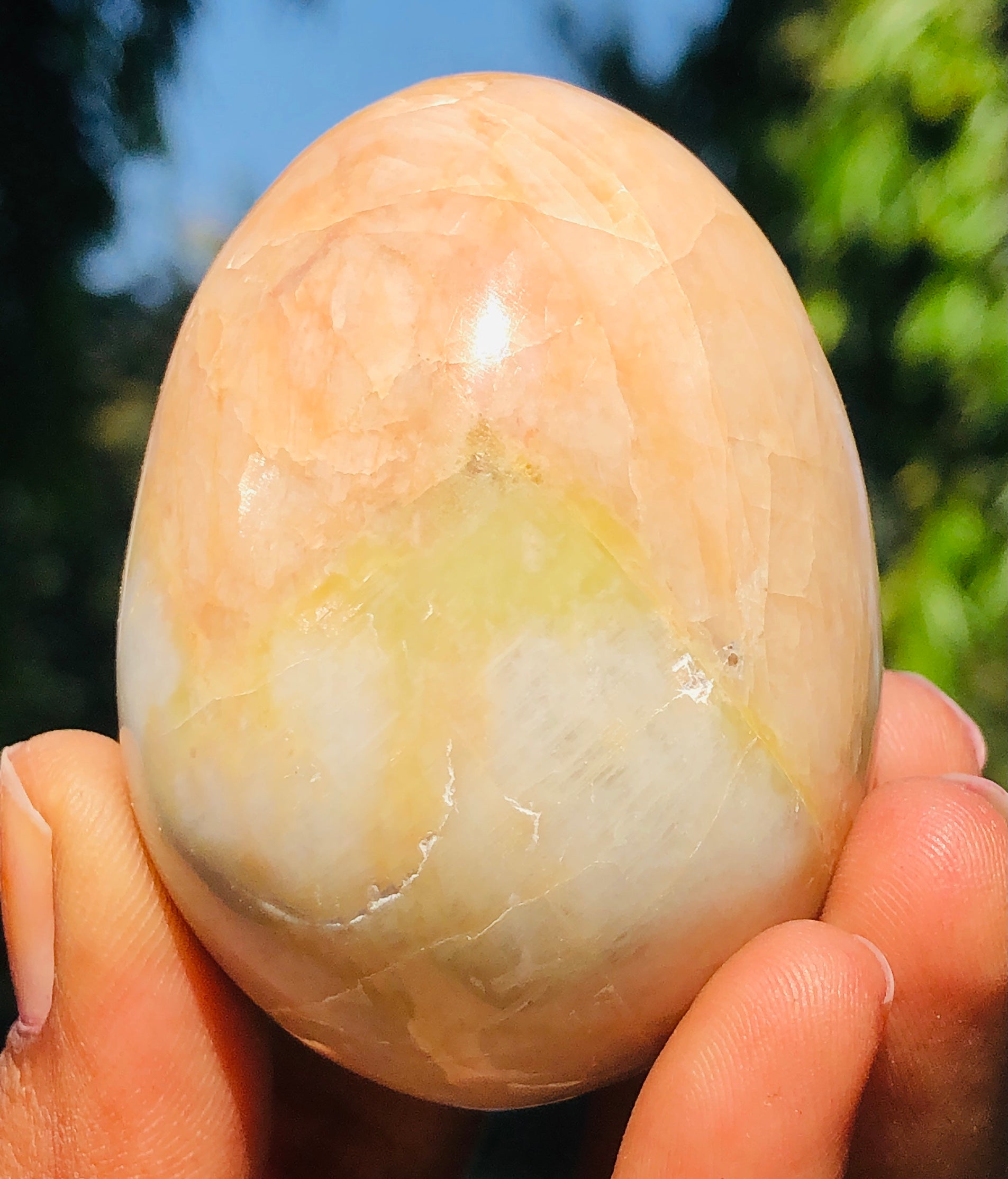 Genuine 675.00 Carats Polygram Jasper Crystal Specimen Healing Egg