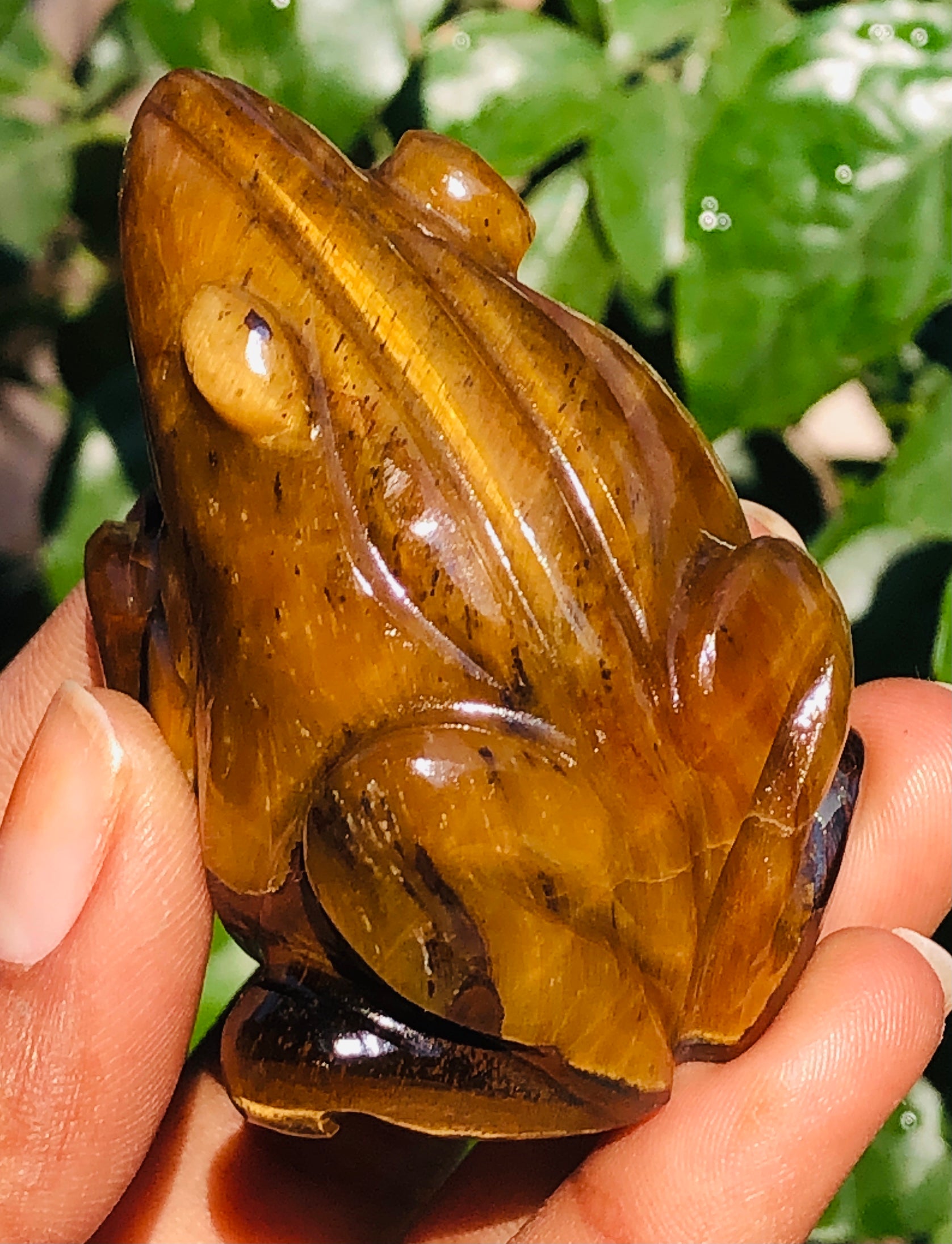 Gorgeous 456.00 Cts Genuine Tiger Eye Hand Carved Premium Frog Crystal