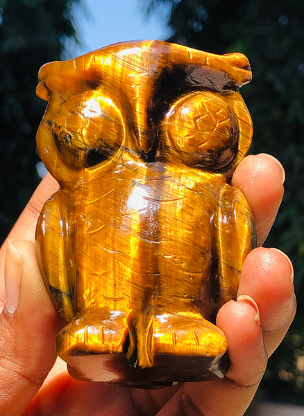 Wonderful 860.00 Cts Genuine Tiger Eye Hand Carved Gemstone Premium Owl Crystal