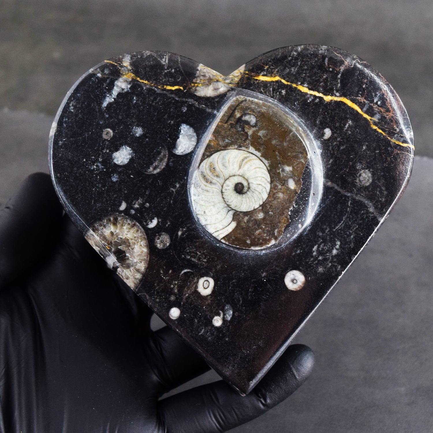 Attractive 2211.00 Cts Genuine Orthoceras Crystal Specimen Heart Shape Box