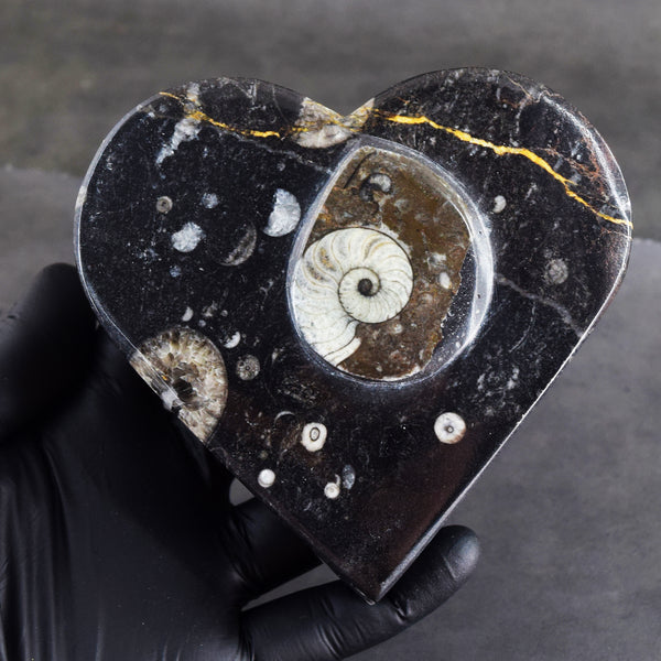 Attractive 2211.00 Cts Genuine Orthoceras Crystal Specimen Heart Shape Box