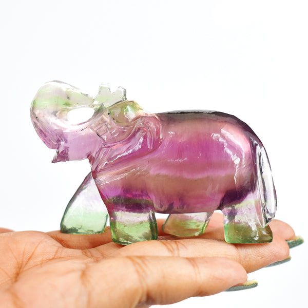 Gorgeous 590.00 Cts Genuine Multicolor Fluorite Hand Carved Crystal Gemstone Carving Elephant