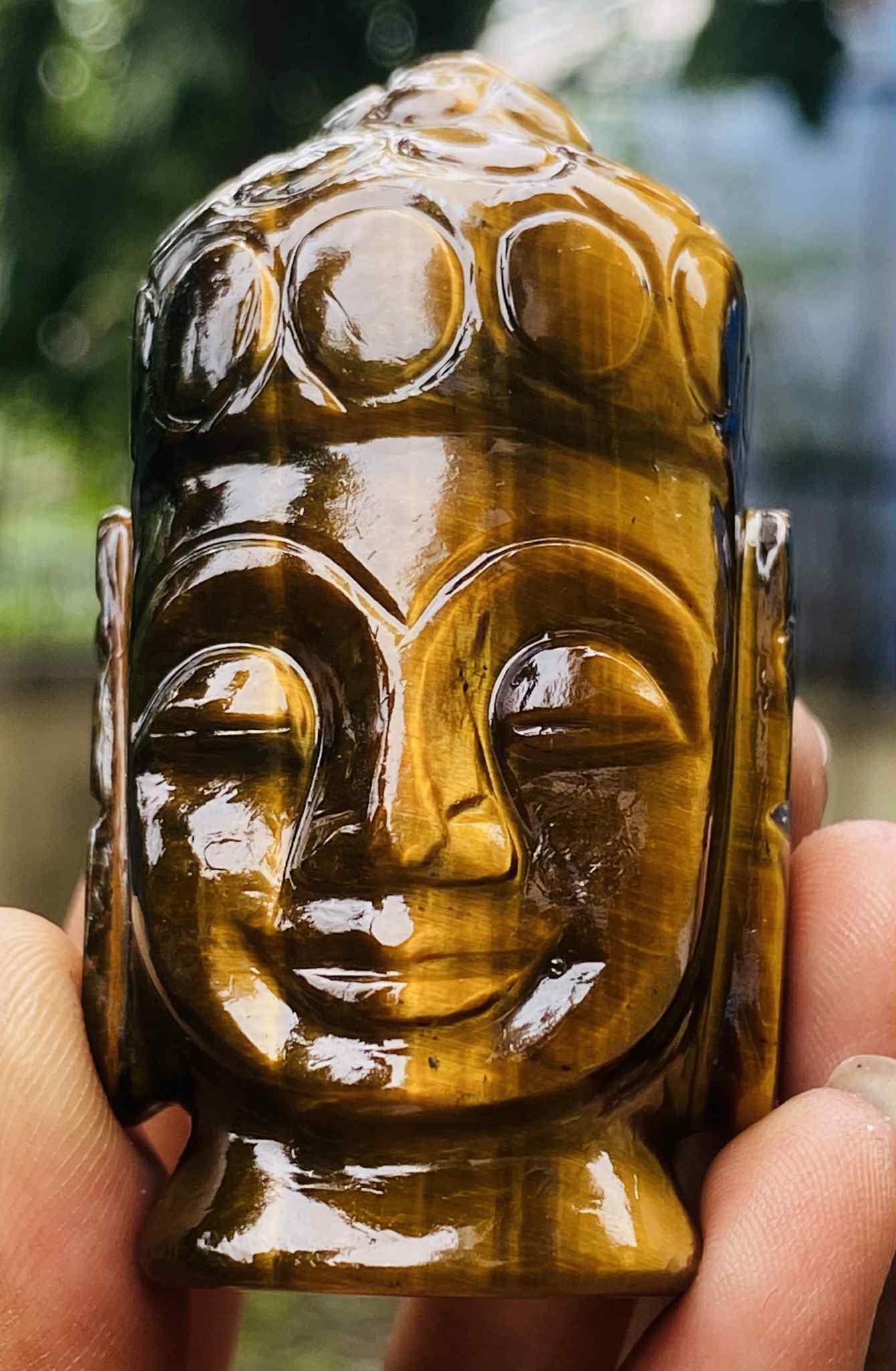 Amazing 535.00 Cts Genuine Tiger Eye Hand Carved Genuine Crystal Gemstone Carving Buddha Head