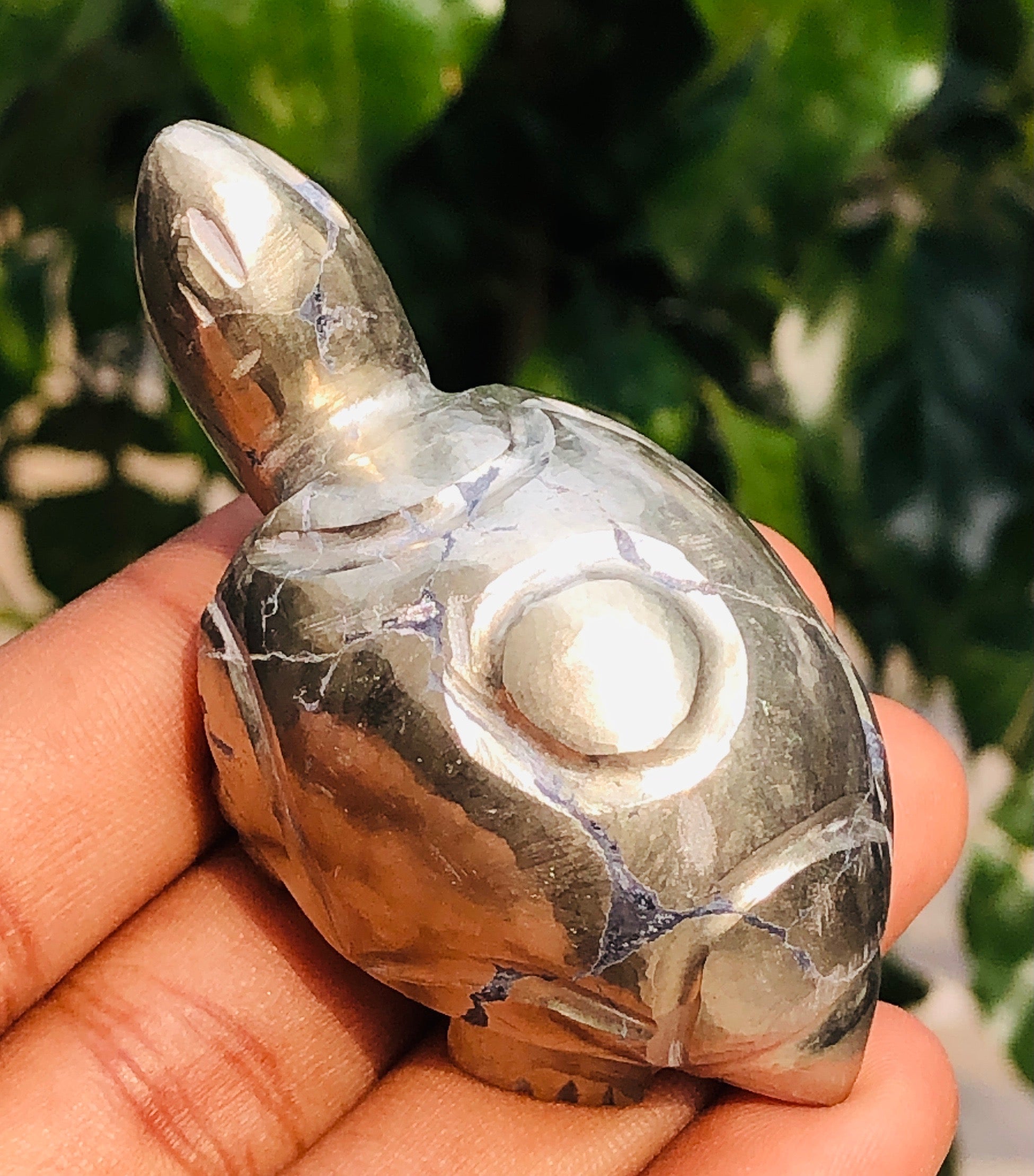 Beautiful 450.00 Cts Genuine Pyrite Hand Carved Gemstone Turtle Crystal