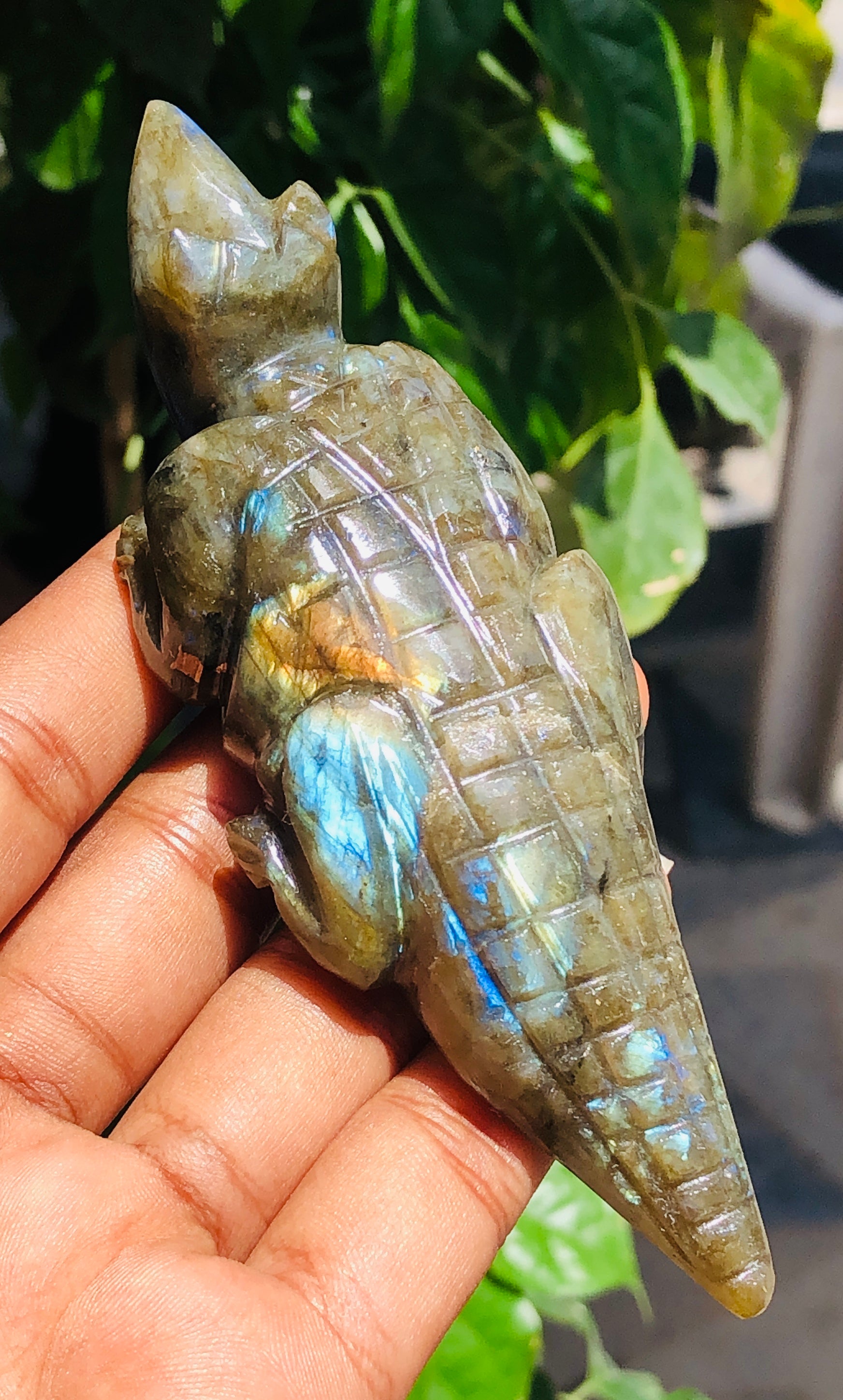 Exclusive 578.00 Cts Genuine Amazing Flash Labradorite Hand Carved Lizard Gemstone Carving 2026  Collection