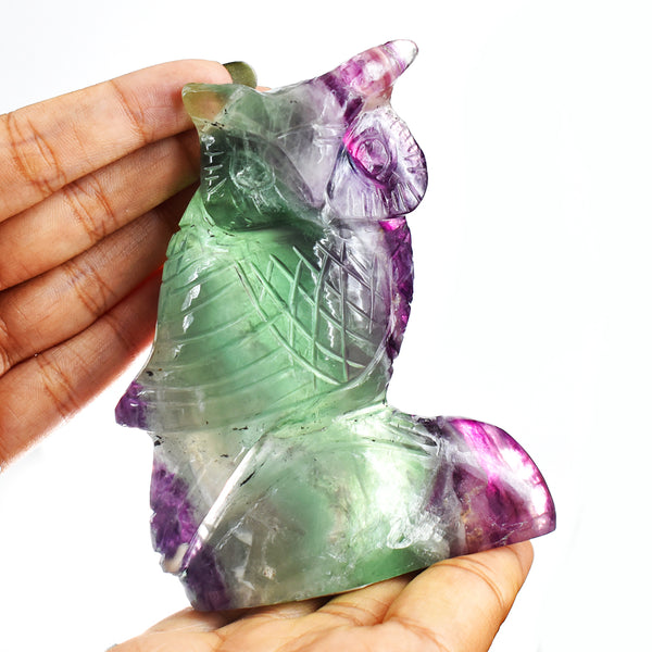 Genuine  1850.00 Cts  Multicolor Fluorite Hand Carved Crystal Owl Gemstone Carving