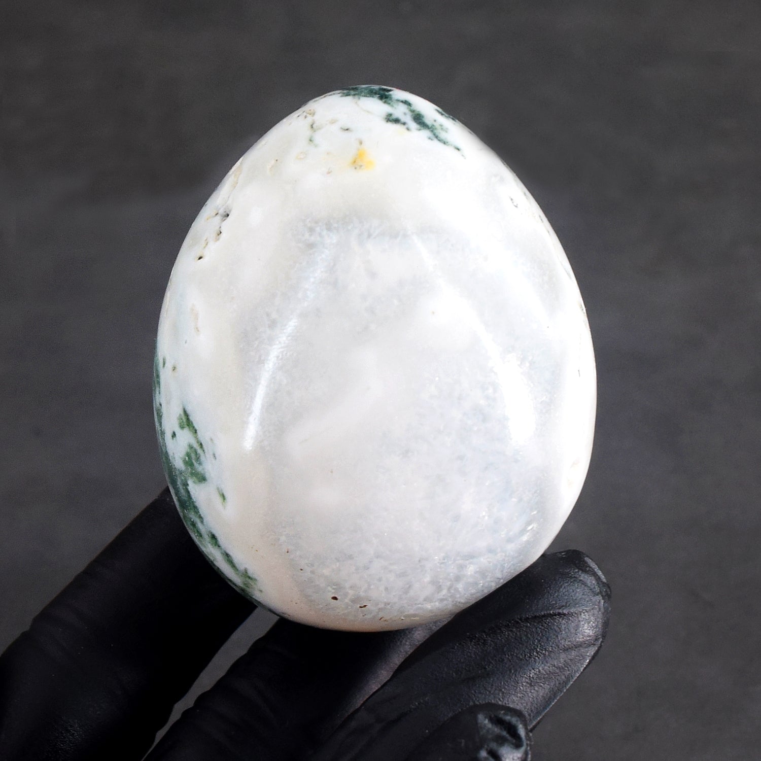 Natural 900.00 Cts Genuine Tree Agate Healing Premium Egg Crystal