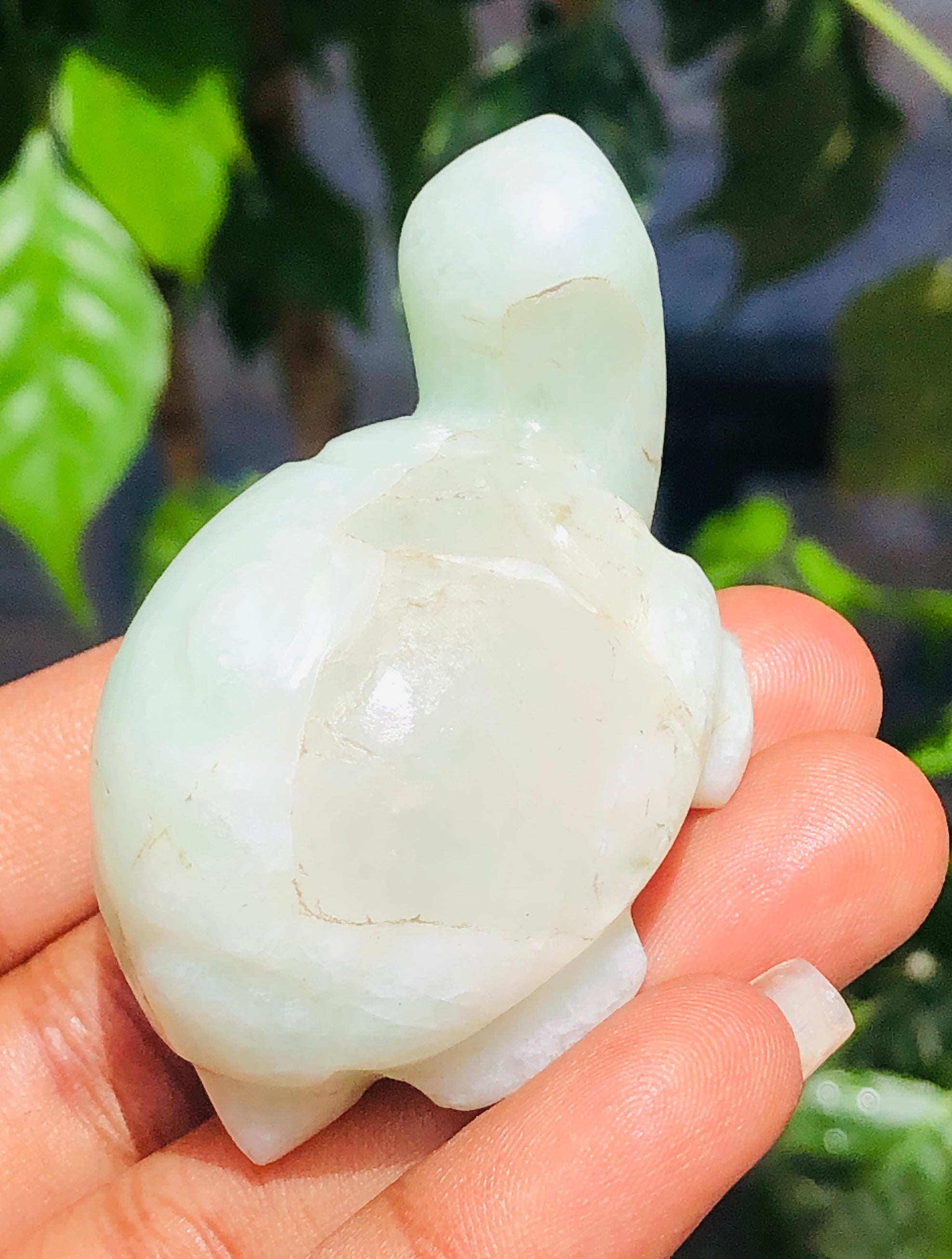 Graceful 267.00 Carats  Genuine Amazonite  Hand  Carved Crystal  Gemstone Turtle Carving 2026 Collection