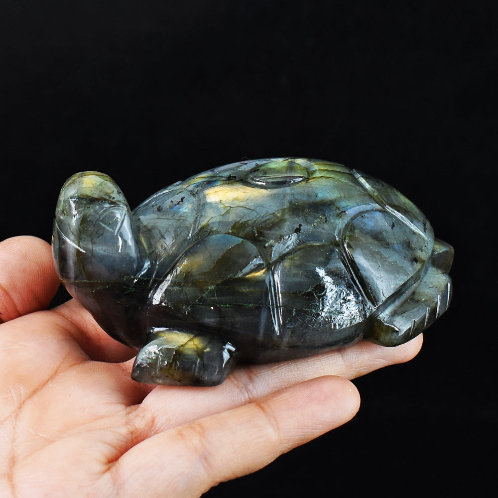 Amazing 1332.00 Carats Genuine Golden & Blue Flash Labradorite Hand Carved Crystal Turtle Carving