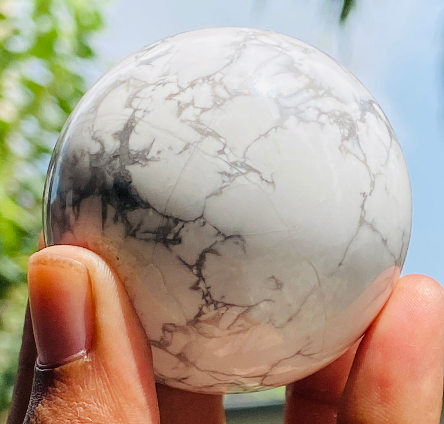 Beautiful 858.00 Cts Genuine Howlite Hand Carved Healing Crystal Sphere