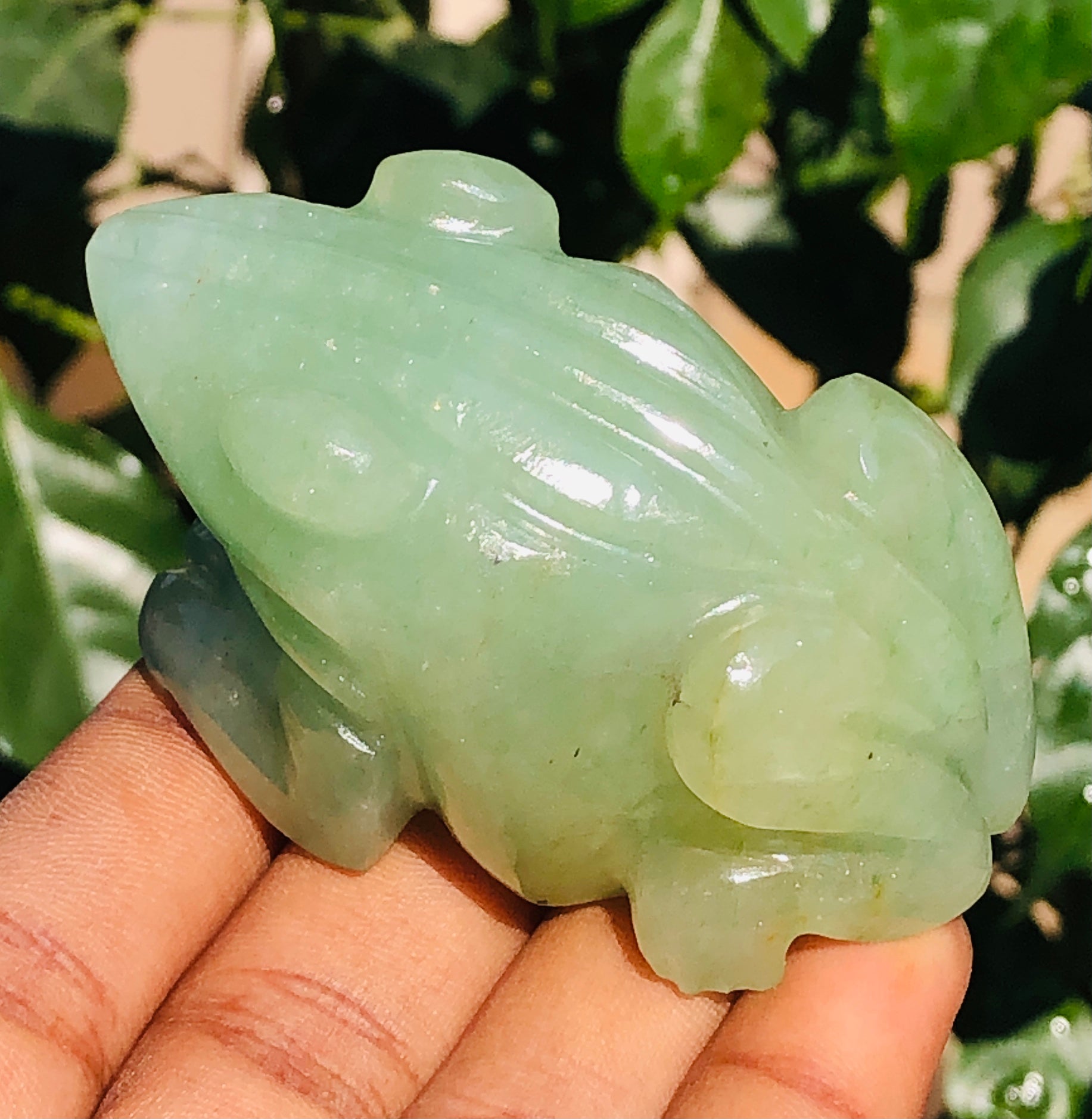 Amazing 518.00 Cts Genuine Green Aventurine Hand Carved Premium Frog Crystal