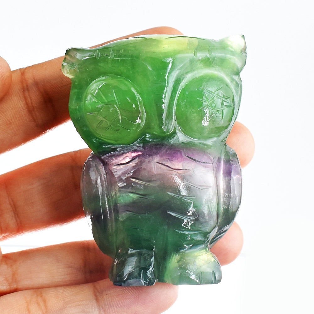 Awesome 885.00 Cts Genuine Multicolor Fluorite Hand Carved Crystal Gemstone Owl Carving