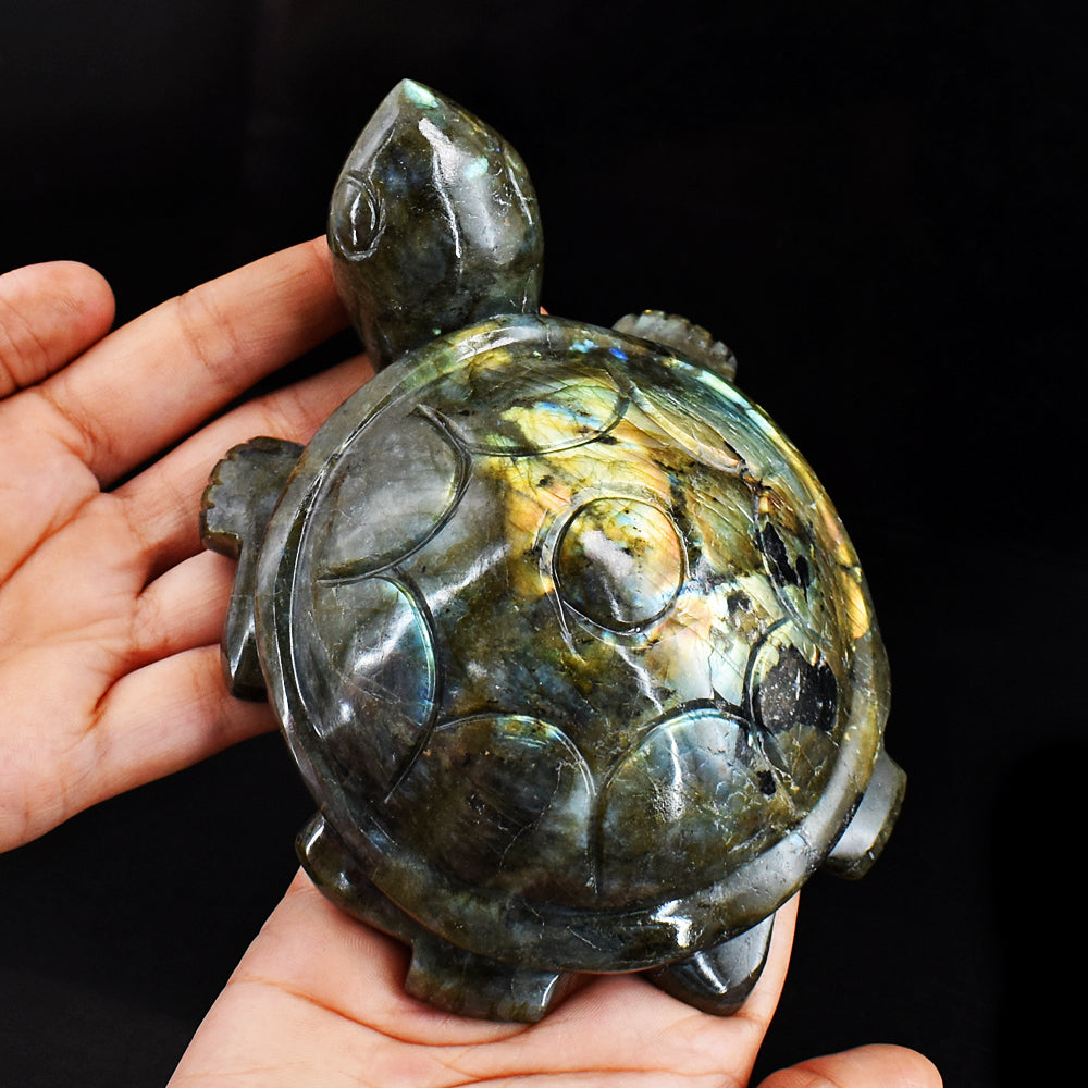 Golden & Blue Flash Labradorite 3707.00 Cts Genuine Hand Carved Crystal Turtle Carving