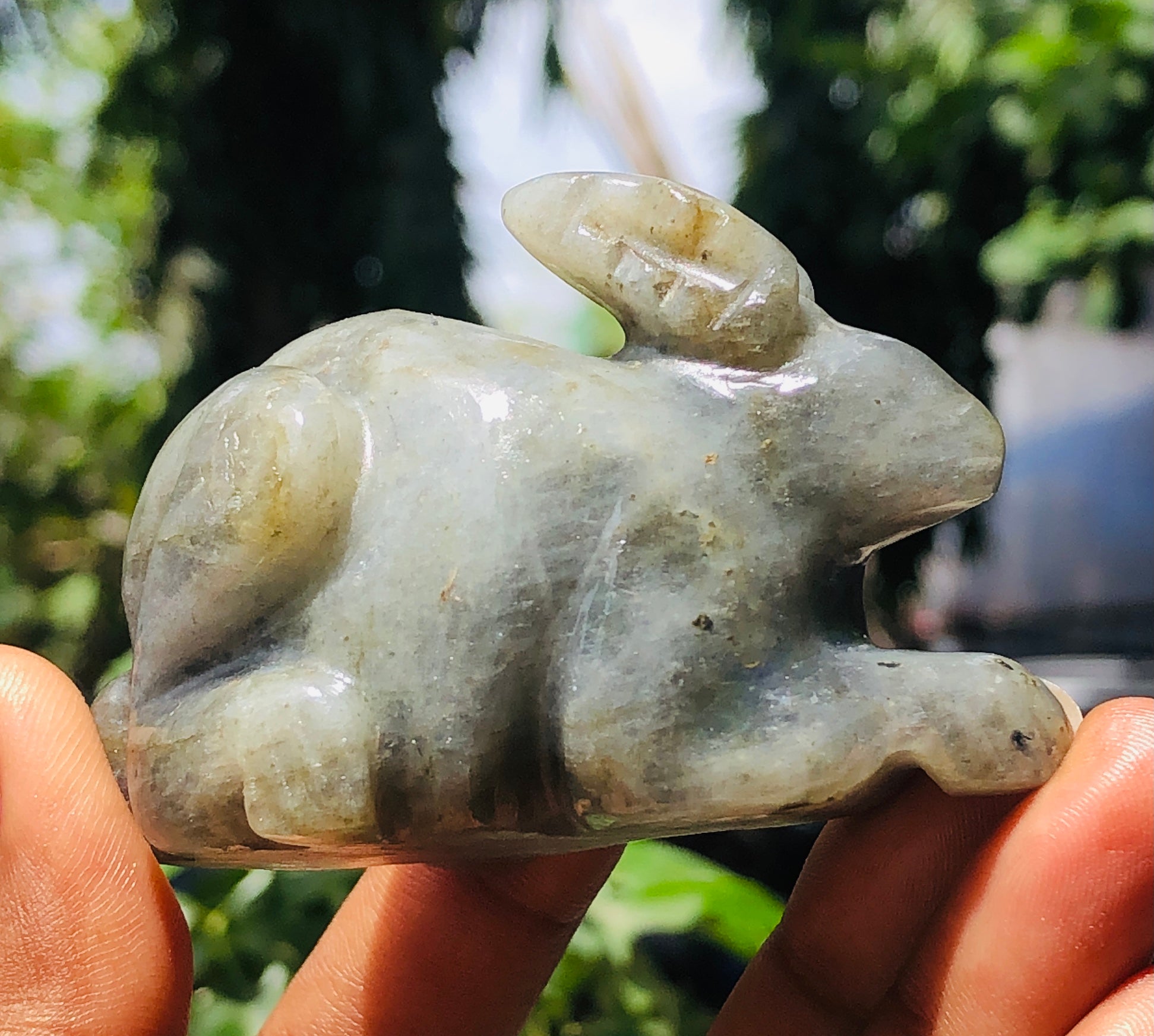 Superb 604.00 Cts Genuine Labradorite Hand Carved Gemstone Bunny 2026  Collection