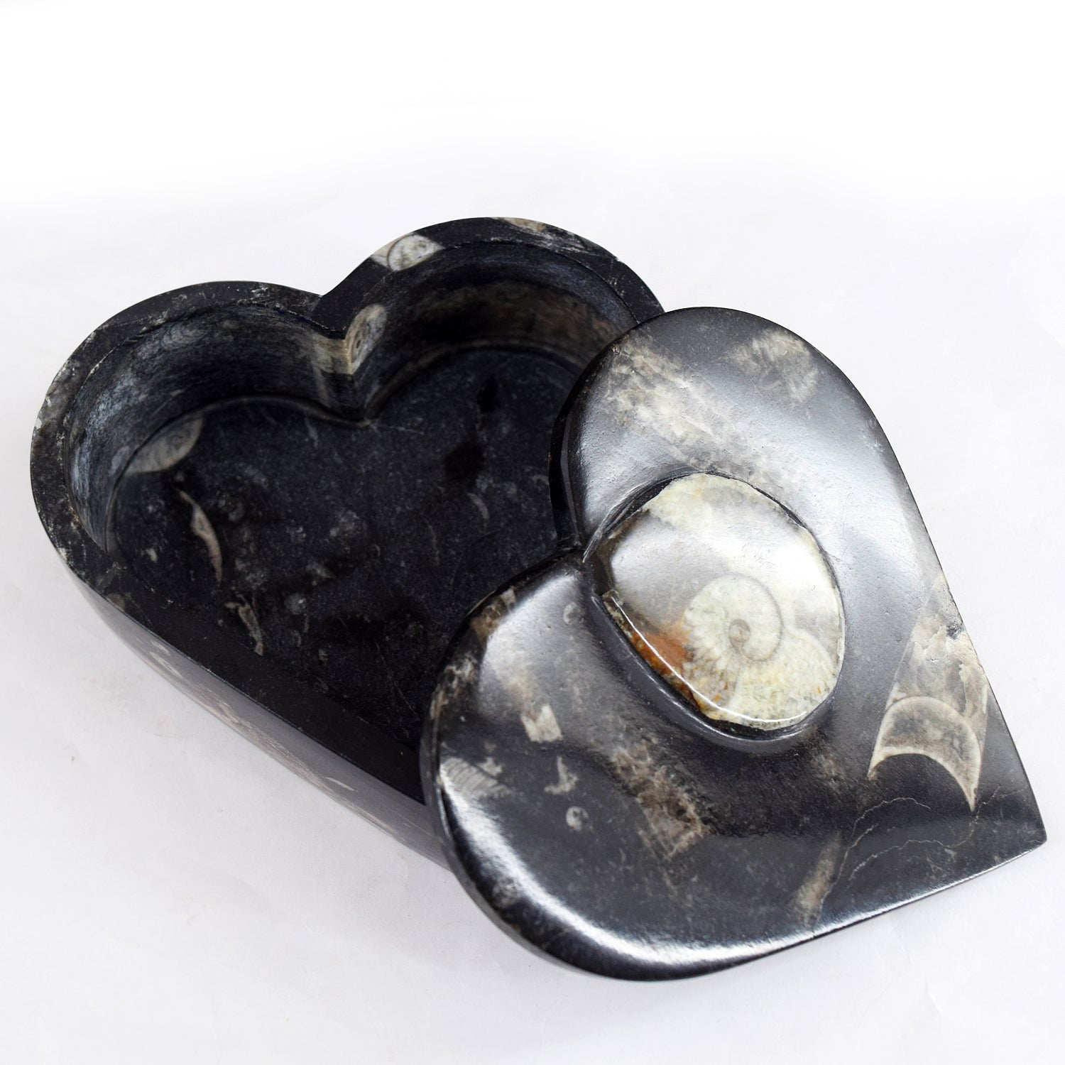 Charming 2069.00 Cts Genuine Orthoceras Crystal Specimen Heart Shape Box