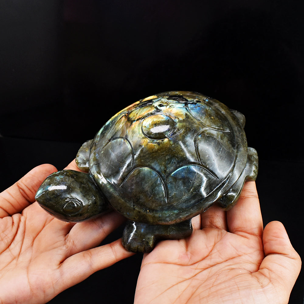 Golden & Blue Flash Labradorite 3707.00 Cts Genuine Hand Carved Crystal Turtle Carving