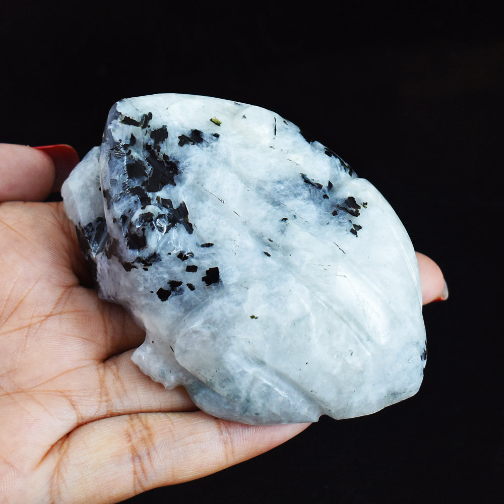 Gorgeous 888.00  Carats  Genuine Blue Flash  Moonstone Hand Carved Crystal  Gemstone Frog Carving