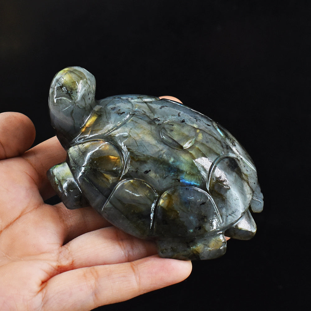 Amazing 1332.00 Carats Genuine Golden & Blue Flash Labradorite Hand Carved Crystal Turtle Carving