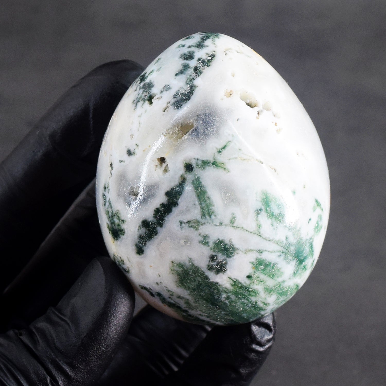 Natural 900.00 Cts Genuine Tree Agate Healing Premium Egg Crystal
