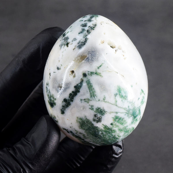Natural 900.00 Cts Genuine Tree Agate Healing Premium Egg Crystal