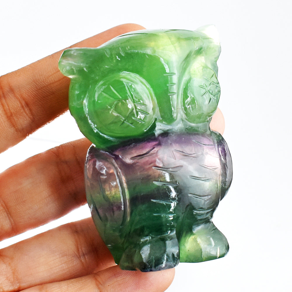 Awesome 885.00 Cts Genuine Multicolor Fluorite Hand Carved Crystal Gemstone Owl Carving