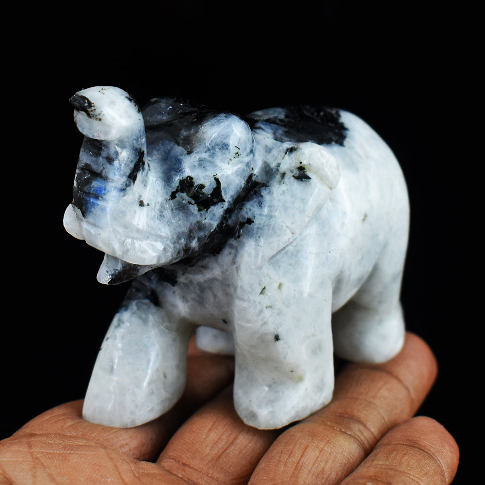 Exclusive 723.00 Cts Blue Flash Moonstone  Hand Carved Genuine Crystal Gemstone Carving Elephant