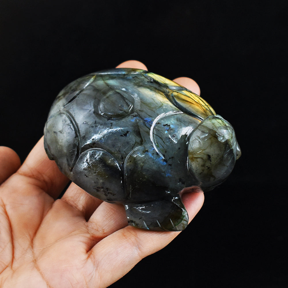 Amazing 1332.00 Carats Genuine Golden & Blue Flash Labradorite Hand Carved Crystal Turtle Carving