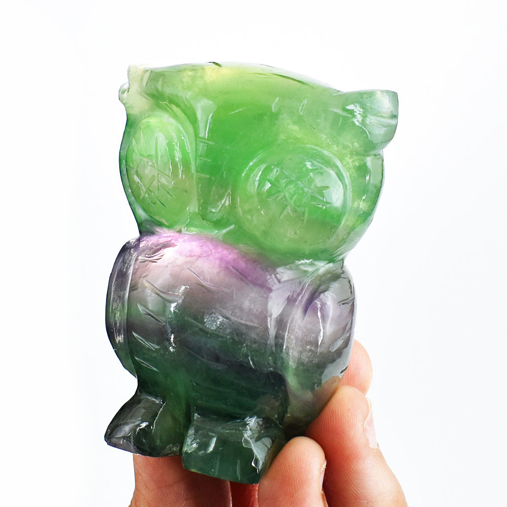 Awesome 885.00 Cts Genuine Multicolor Fluorite Hand Carved Crystal Gemstone Owl Carving