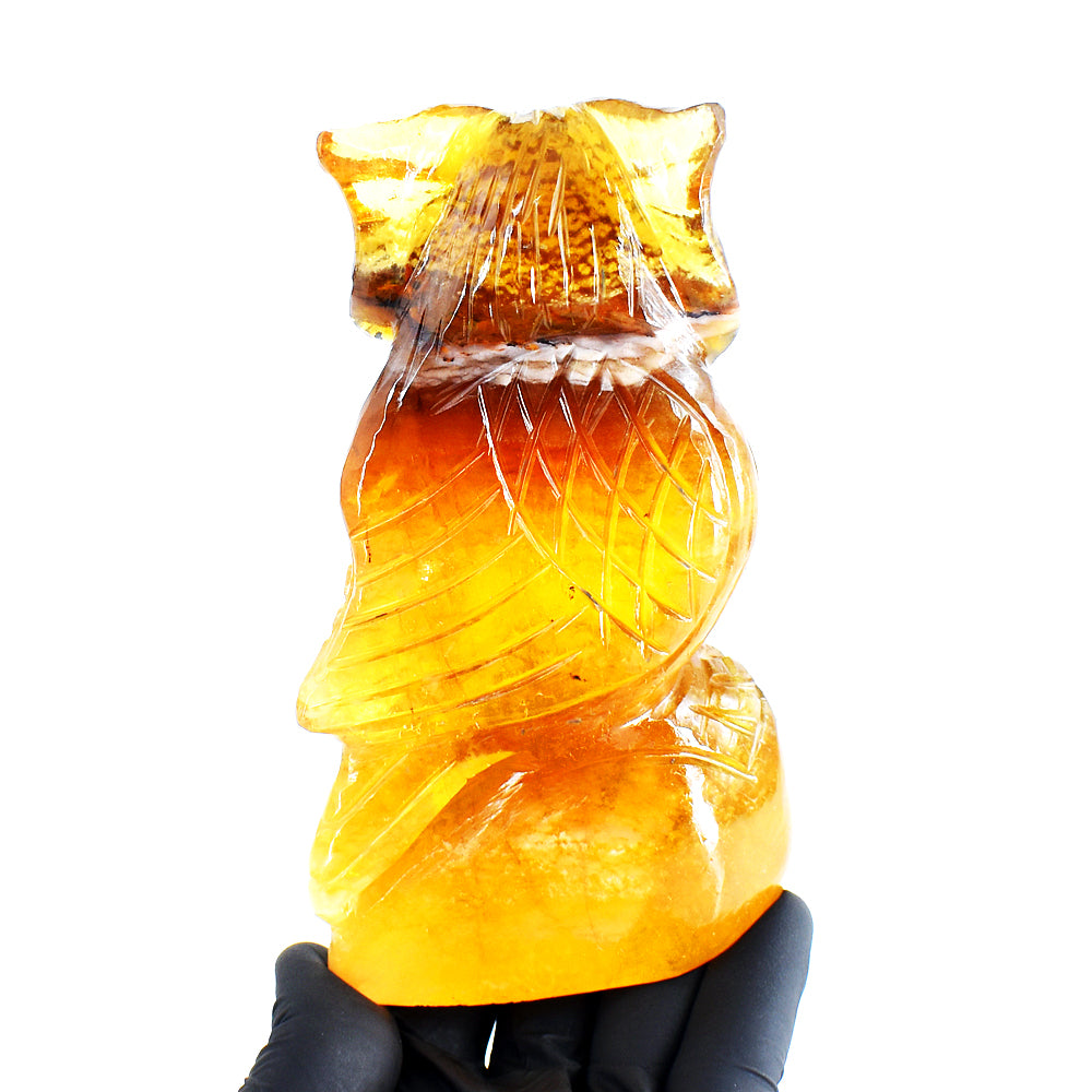 Amazing 3085.00 Cts Genuine Multicolor Fluorite Hand Carved Crystal Gemstone Owl Carving