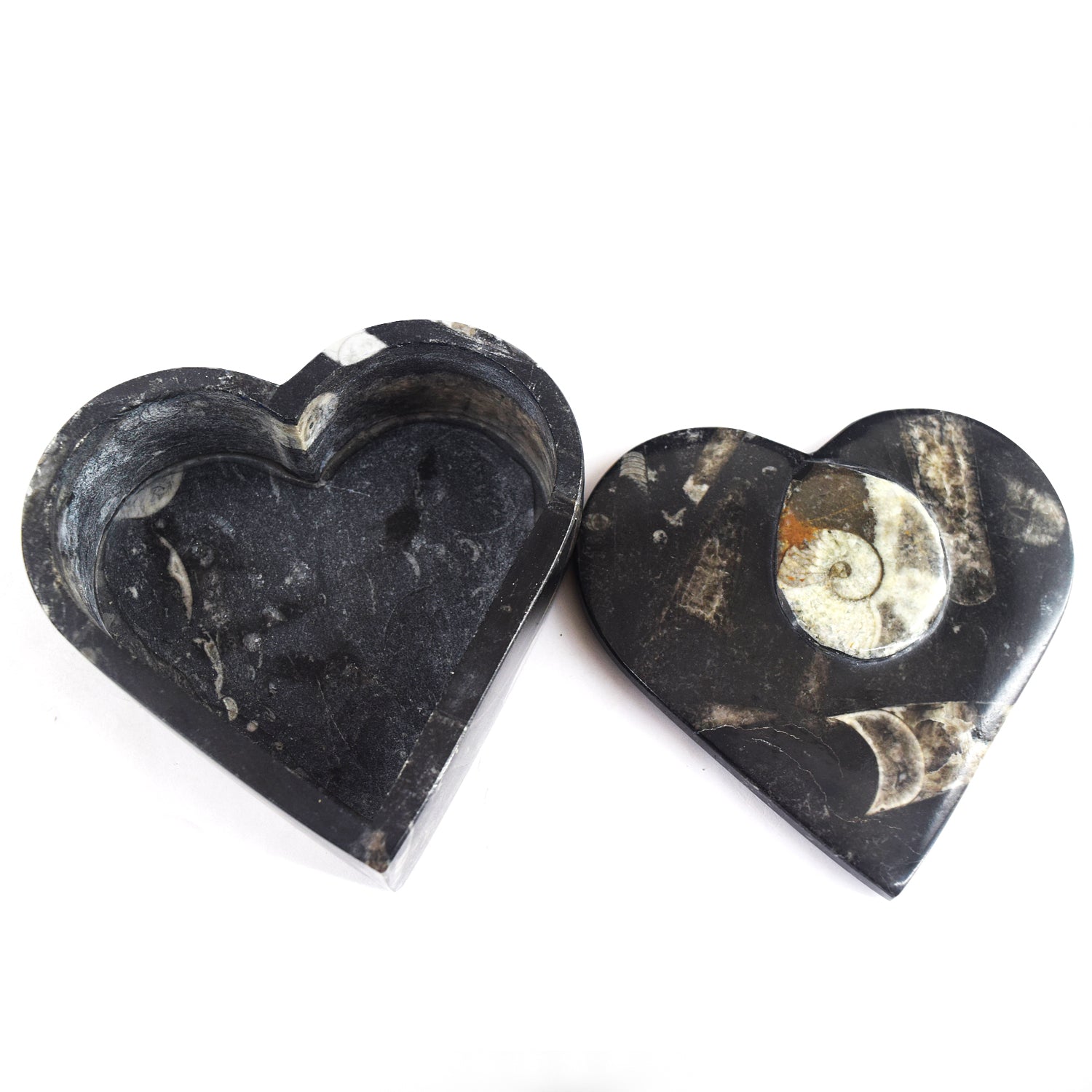 Charming 2069.00 Cts Genuine Orthoceras Crystal Specimen Heart Shape Box
