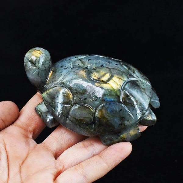 Amazing 1332.00 Carats Genuine Golden & Blue Flash Labradorite Hand Carved Crystal Turtle Carving