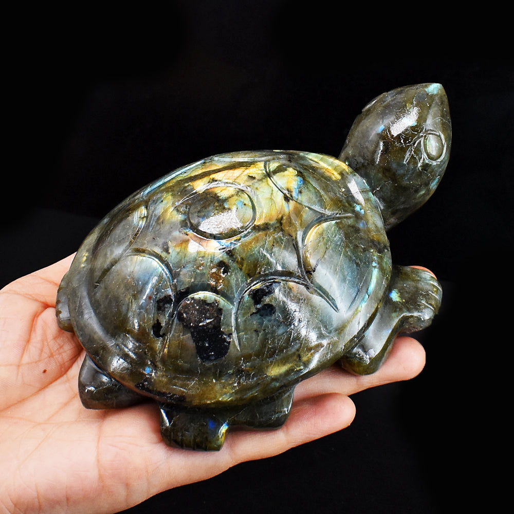 Golden & Blue Flash Labradorite 3707.00 Cts Genuine Hand Carved Crystal Turtle Carving