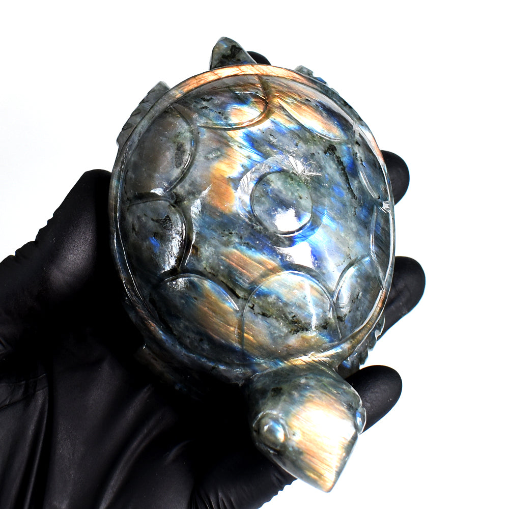 Exclusive 1714.00 Cts Genuine Orange & Blue Flash Labradorite Hand Carved Gemstone Turtle Crystal Carving